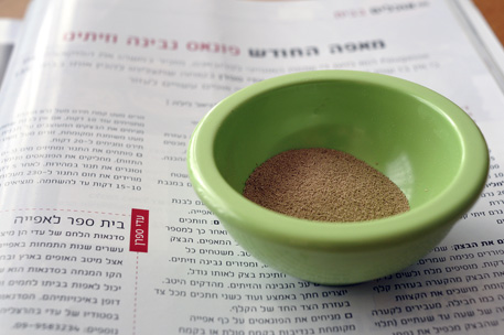 פוגאס פטה וזיתים